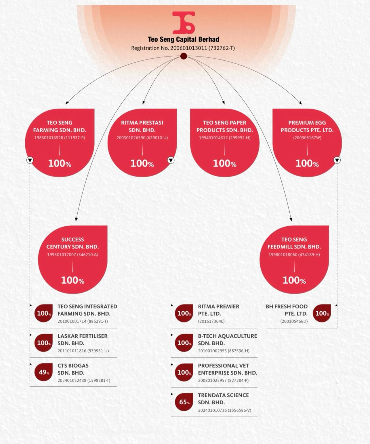 Group corporate structure 29.04.25