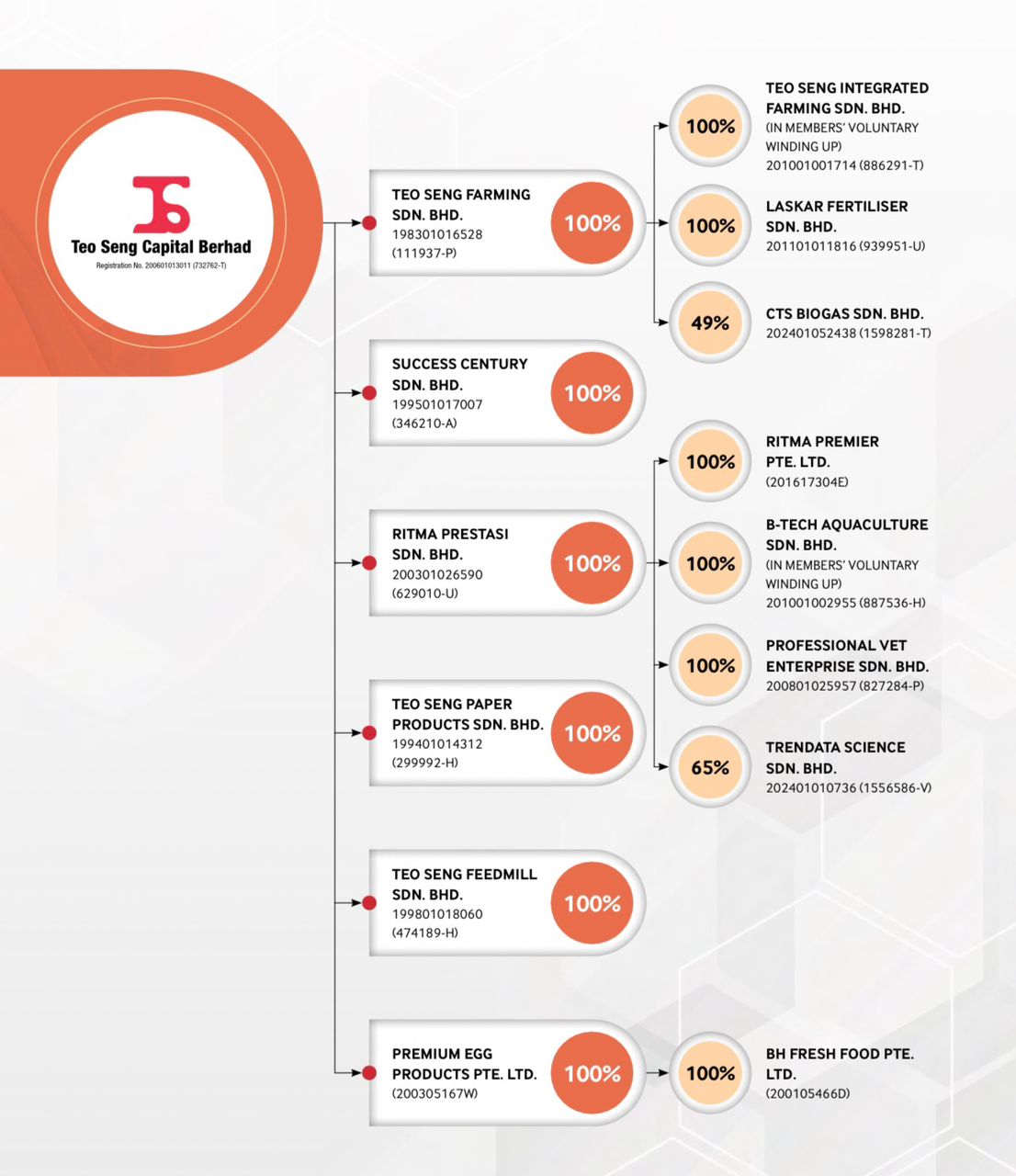 Group corporate structure 28.04.26